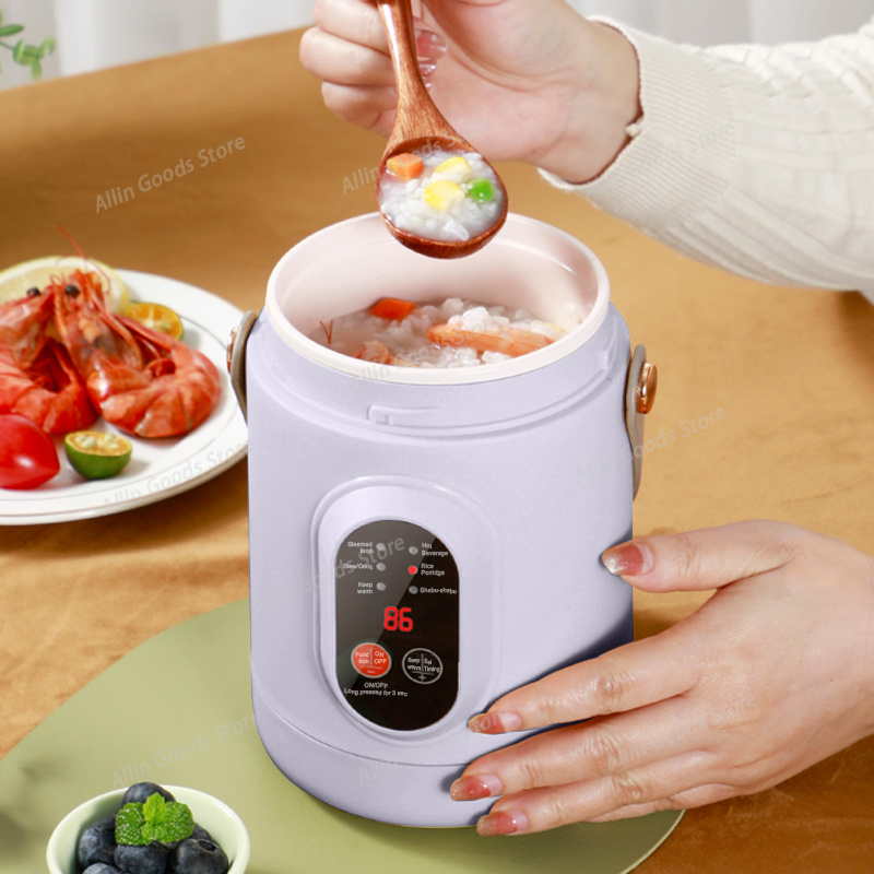 Портативная многофункциональна – обзор и цена Hot Pot Portable Dual
